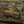 M-Tac Patch Real Tiger