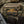 M-Tac Patch Real Tiger