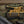 M-Tac Patch Real Tiger