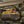 M-Tac Patch Real Tiger