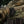 M-Tac Patch Real Tiger