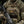 M-Tac Patch Real Tiger
