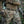 M-Tac Belt Inner Tiger for Range Belt