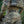 M-Tac Belt Inner Tiger for Range Belt