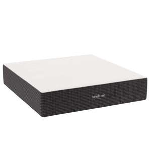 Aveline 16" Memory Foam Mattress by Modway