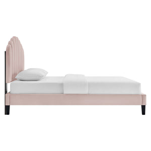 Daisy Performance Velvet Full Platform Bed by Modway