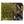 Mach 1 Forza 16mm: Keith Haring #2