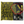 Mach 2 Forza 16mm: Keith Haring #2