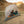 Maxfield 2 Tent - Orange/Grey