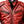 Men’s Red Waxed Leather Jacket