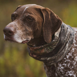 Midweight Wool Neck Gaiter - 100% Merino Wool