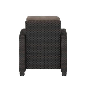 Miles Mocha Finish Outdoor Wicker Club Chair