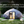 Patio Elegance Zomes Pod – 120 sq ft Eco-Friendly Outdoor Office Pod
