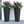 Noah Round Wicker Planter 2-piece Set in Black
