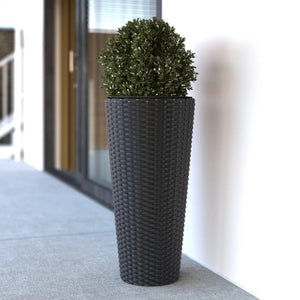 Noah Round Wicker Planter 2-piece Set in Black