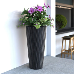 Noah Round Wicker Planter 2-piece Set in Black