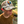 Cock of the Walk 5-Panel Rooster Trucker Hat