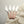 PLATEAU RATONCITO CHEESE SPREADER/KNIFE 4 PC. SET