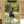 HuntEmUp Ultimate Pheasant Dog Training Scent - Pheasant Scent for Dog Training