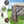 Pop-up Gazebo 6-sided Instant Setup Screen House Hub Tent with Mesh Netting Walls-Coffee