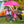 Portable Folding Picnic Double Chair