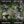 3D Leafy Camo Face Mask Ball Cap in Mossy Oak and Realtree (Adj, OSFM)