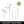 Original Earphones For Apple iPhone 14 Pro Max Lightning Headphones 13 12 11 Mini X XS XR SE 6 7 8 Plus Wired In-Ear Call Earbud