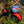 Reaction Tackle X8 Braided Fishing Line - NO FADE Red 8 Strand