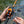 Reaction Tackle X8 Braided Fishing Line - NO FADE Black 8 Strand