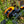 Reaction Tackle Fishing Rod and Baitcasting Reel Combo - Big Bite