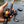 Reaction Tackle Baitcasting Fishing Reel – ReactCast Edition- High-Speed 7.3:1 Gear Ratio