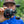 Reaction Tackle Baitcasting Fishing Reel – ReactCast Edition- High-Speed 7.3:1 Gear Ratio