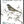 SongBird Decaf