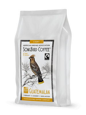 SongBird Guatemalan