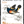 SongBird Nicaraguan