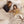 Organic Bamboo Sateen Bed Sheet Set