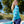 Women's Long Sleeve Swim Shirt with Built-in Bra