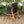 Sava Indoor-Outdoor Folding Chair in Black Webbing