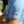 Blue Plain Jane Polo