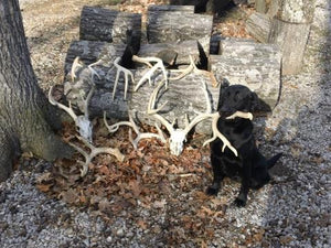 Ultimate Shed Dog Training Bundle by HuntEmUp