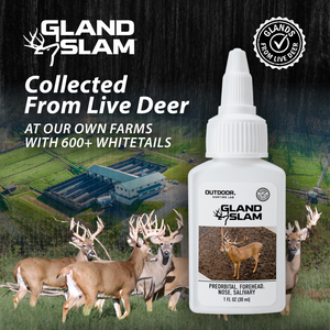 Gland Slam Pro Pack