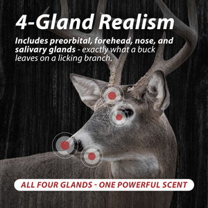 Gland Slam Triple Pack