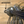 Signature Series Jig - TRAPSKI