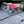 PRE-ORDER Special Edition White/Blue: TRAPSKI All Mountain/Race/XC Ski and Standard Stance Snowboard Rack