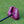 Lazrus Golf Zero Torque - Splatter Head Only