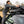 SPORT CAR TOP CARRIERS