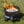 Sporty Campfire Portable Gas Fire Pit
