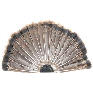 Turkey Fan Display Jig