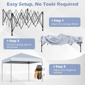 10 X 10 Feet Pop up Canopy Tent with Portable Carrying Bag and 8 Stakes