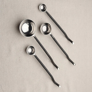 Twig Black Measuring Spoons Set